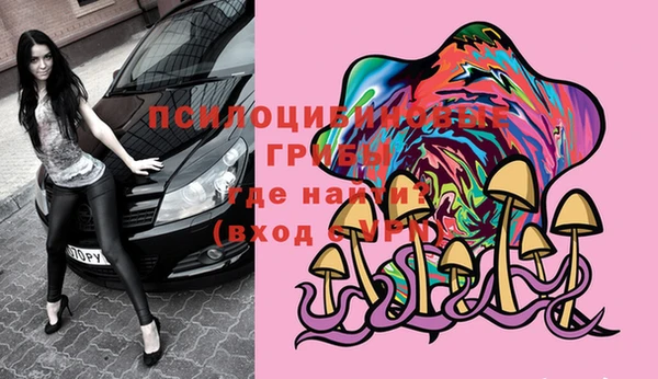 спиды Беломорск