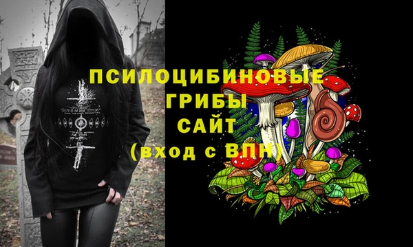 PSILOCYBIN Белоозёрский