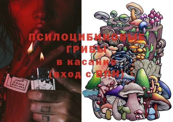 jwh Белокуриха