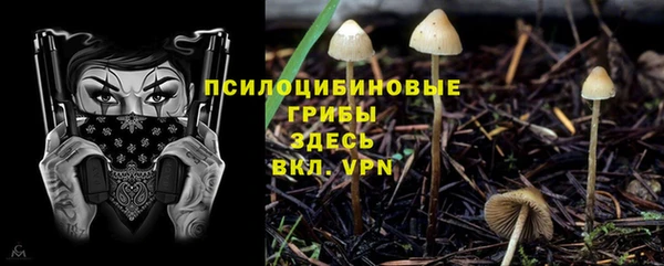 jwh Белокуриха