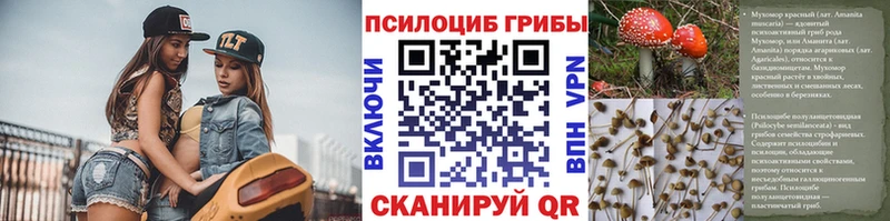 Псилоцибиновые грибы Psilocybine cubensis  где продают наркотики  Болотное 